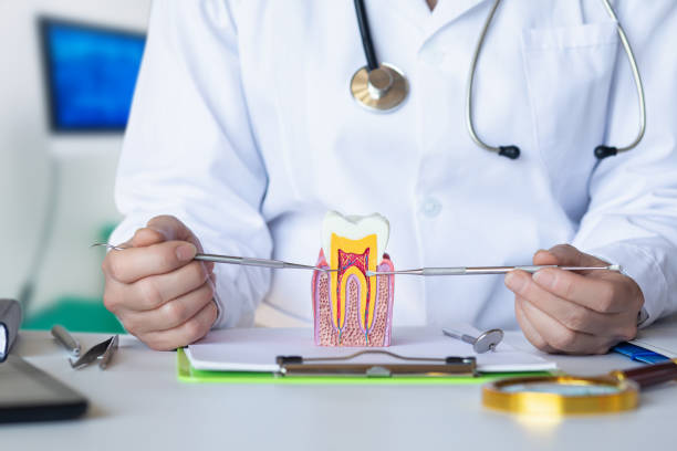 Best Same-Day Emergency Dental Services in Harpersville, AL